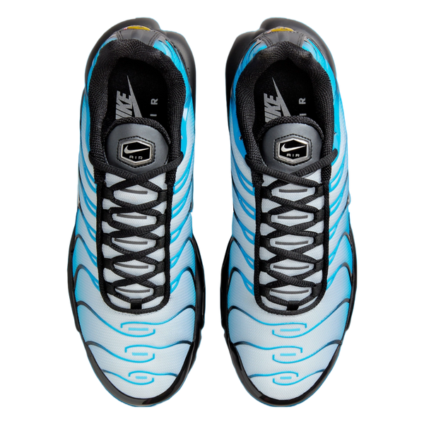 Nike TN Air Max Plus Blue Gradient, DV3493-001