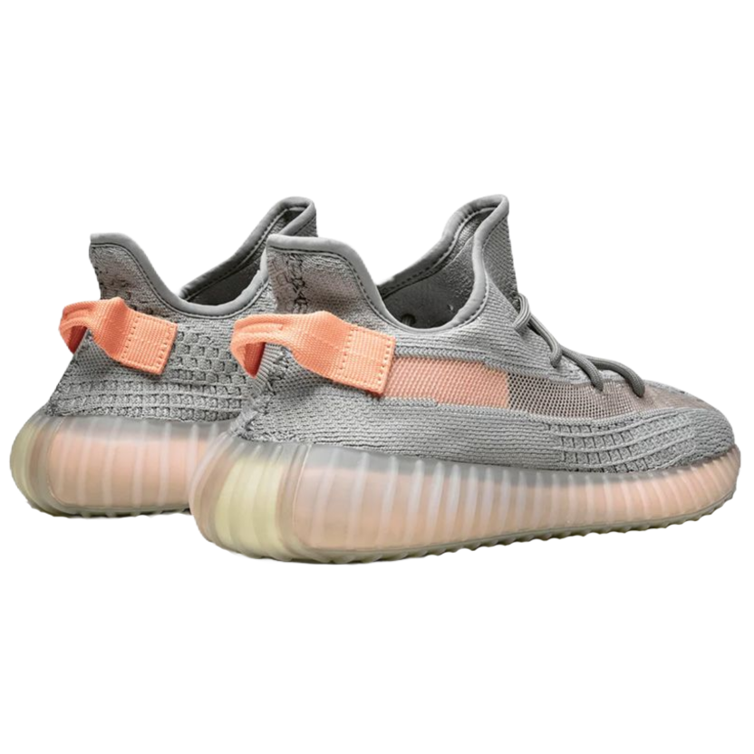 Adidas Yeezy Boost 350 V2 True Form EG7492 McKickz