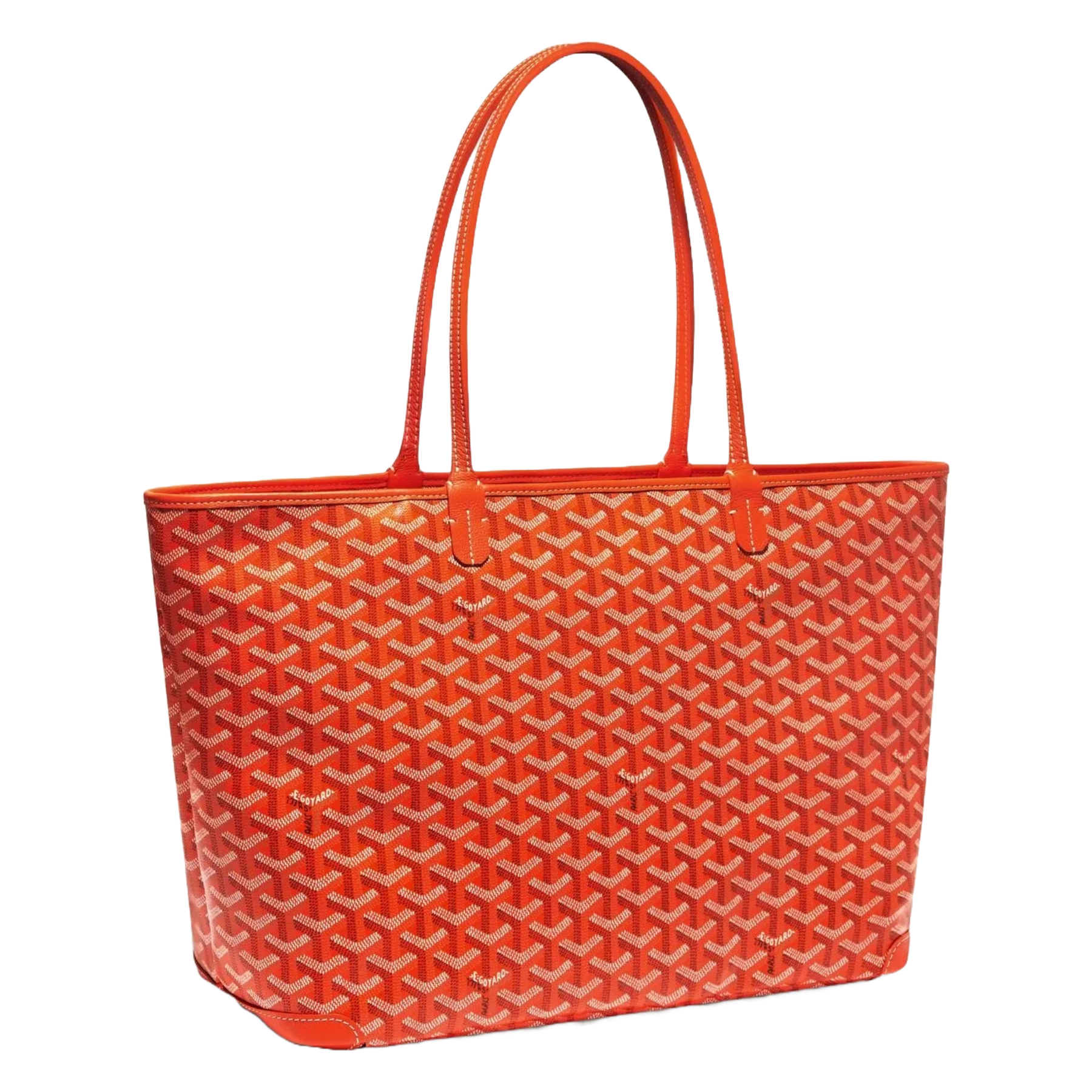 Goyard transparent discount bag
