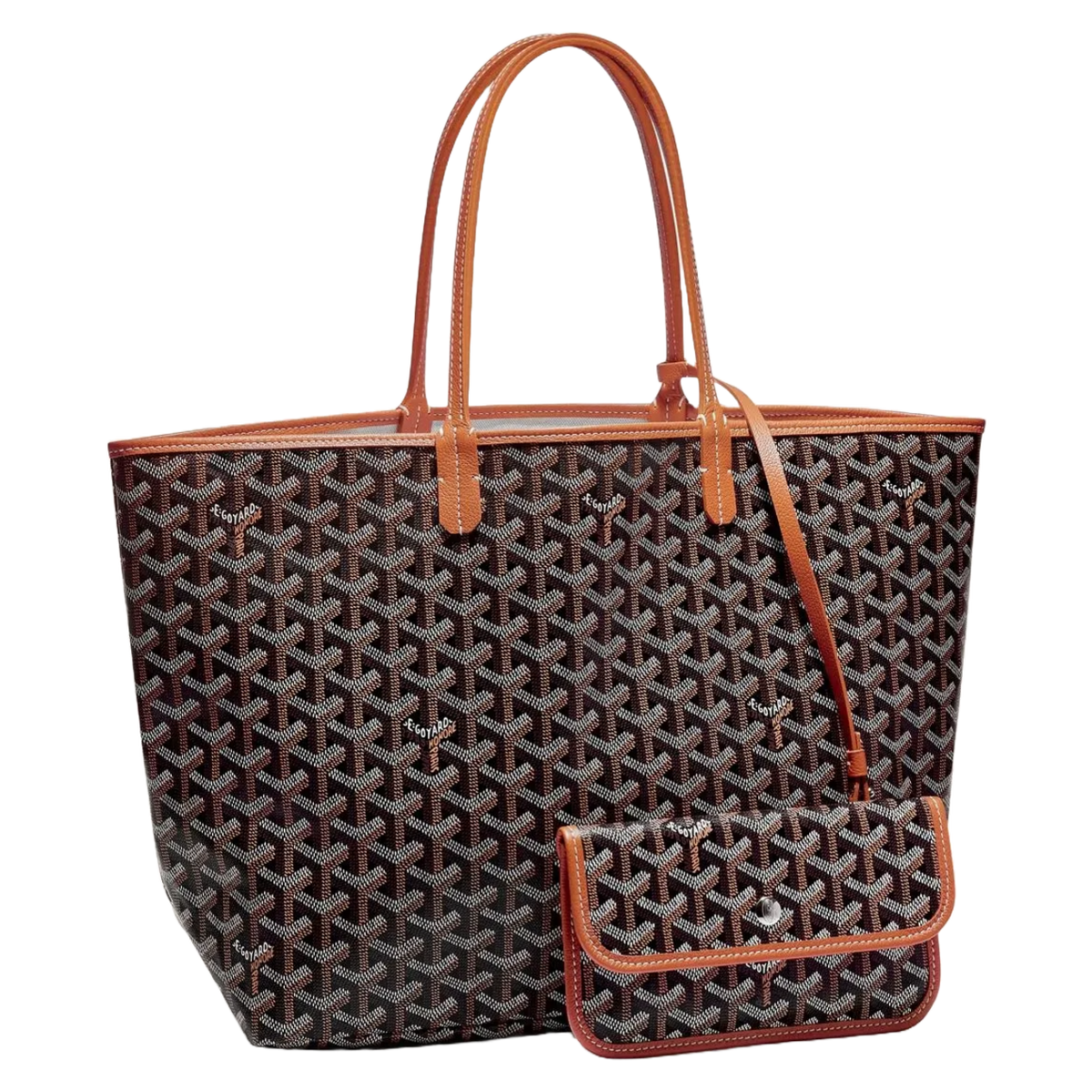 goyard-saint-louis-pm-bag-black-tan-stlouipmlty01cl03p-McKickz-01-1