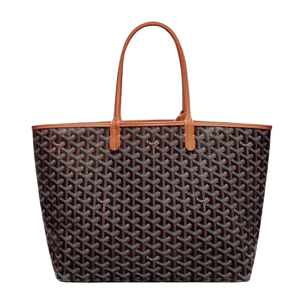 goyard-saint-louis-pm-bag-black-tan-stlouipmlty01cl03p-McKickz-02-2