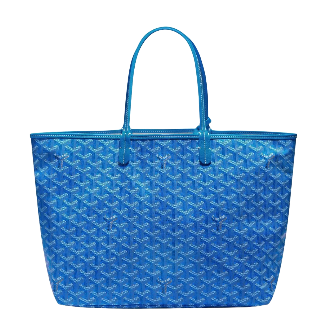 Goyard Saint Louis PM Bag Sky Blue STLOUIPMLTY10CL10P McKickz