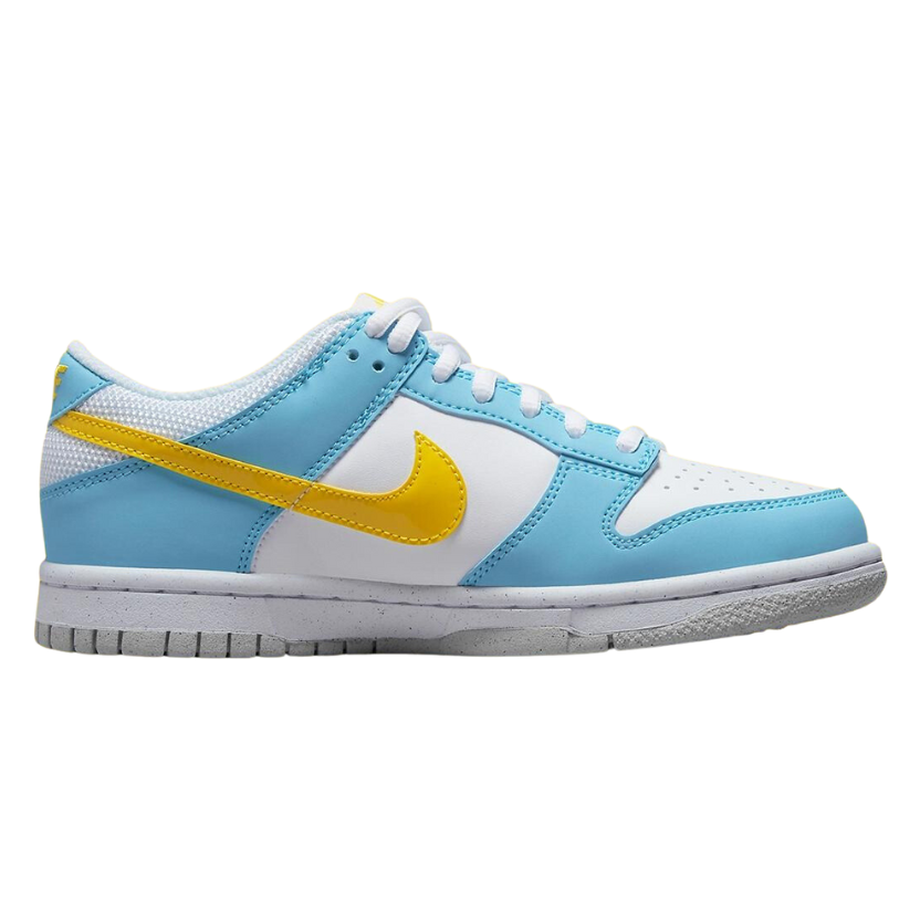 Nike sales dunk homer