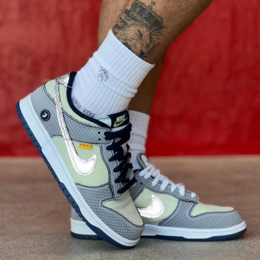 Nike zoom dunk low online