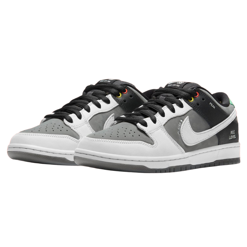 nike-sb-dunk-low-pro-vx1000-camcorder-McKickz-01
